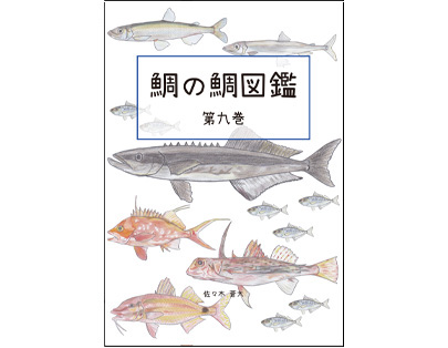 鯛の鯛図鑑