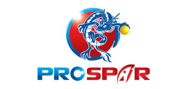 株式会社プロ・スパー
